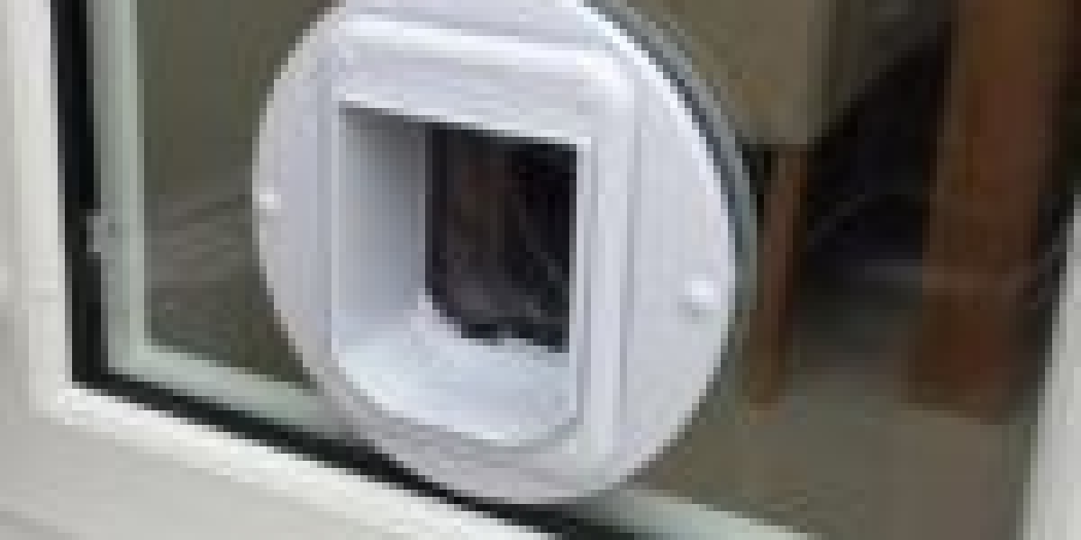 Five Things Everybody Gets Wrong In Regards To Cat Door Maintenance