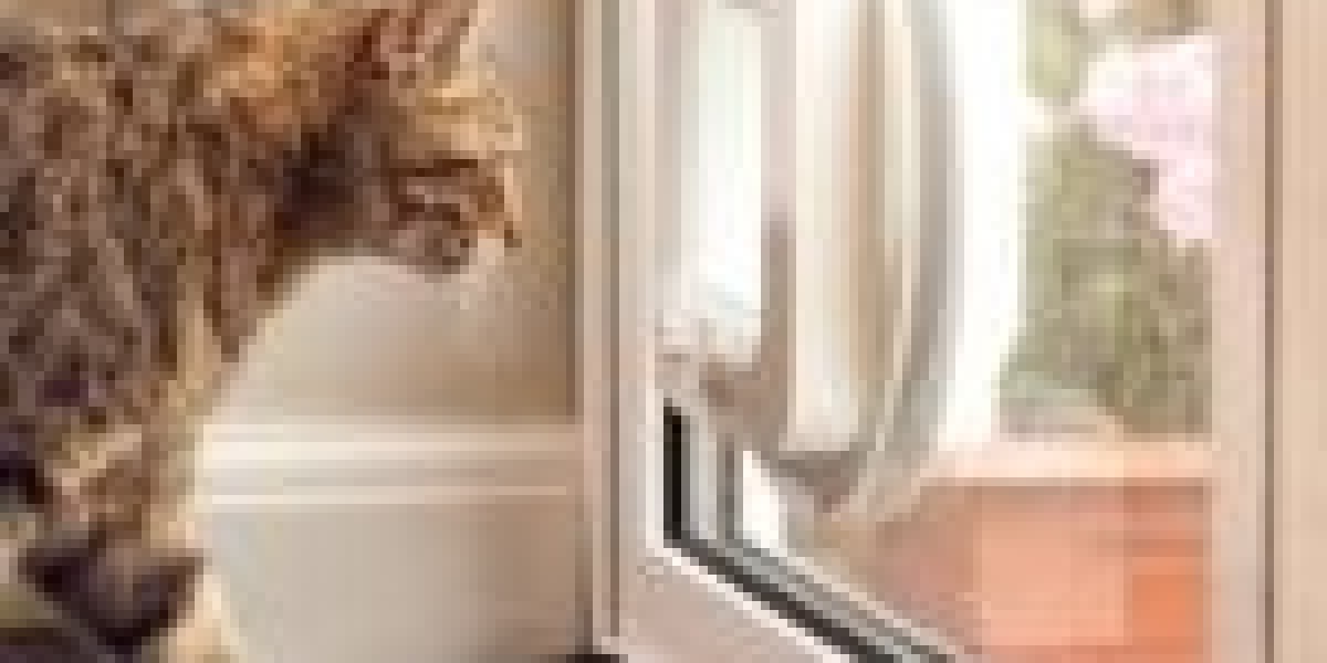 20 Insightful Quotes On Cat Door Assembly
