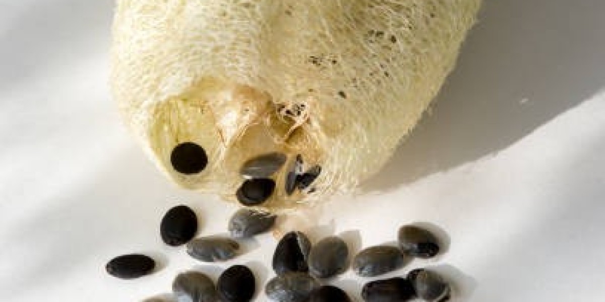 North America Okra Seeds Market: Key Trends and Growth Outlook