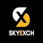 Sky Exchange Profile Picture
