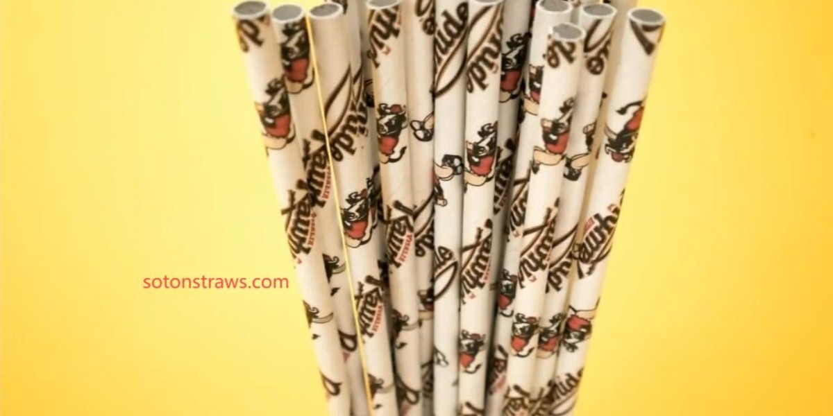 How Soton Builds Resilient Networks for Paper Straws Manufactory